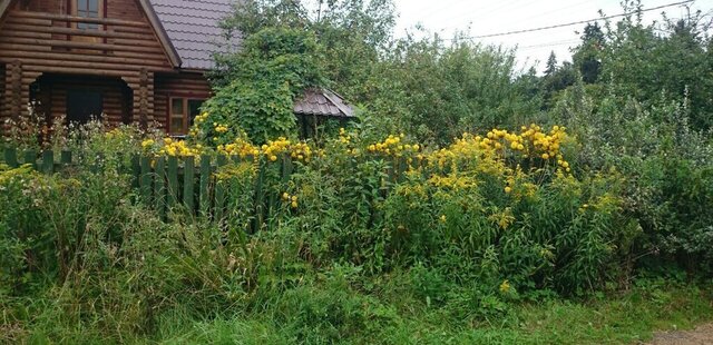 городской округ Одинцовский с Жаворонки пл Привокзальная Кокошкино фото