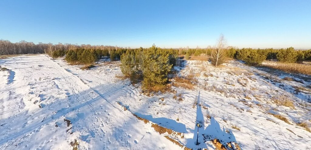 земля р-н Тюменский коттеджный посёлок Новокаменский фото 3