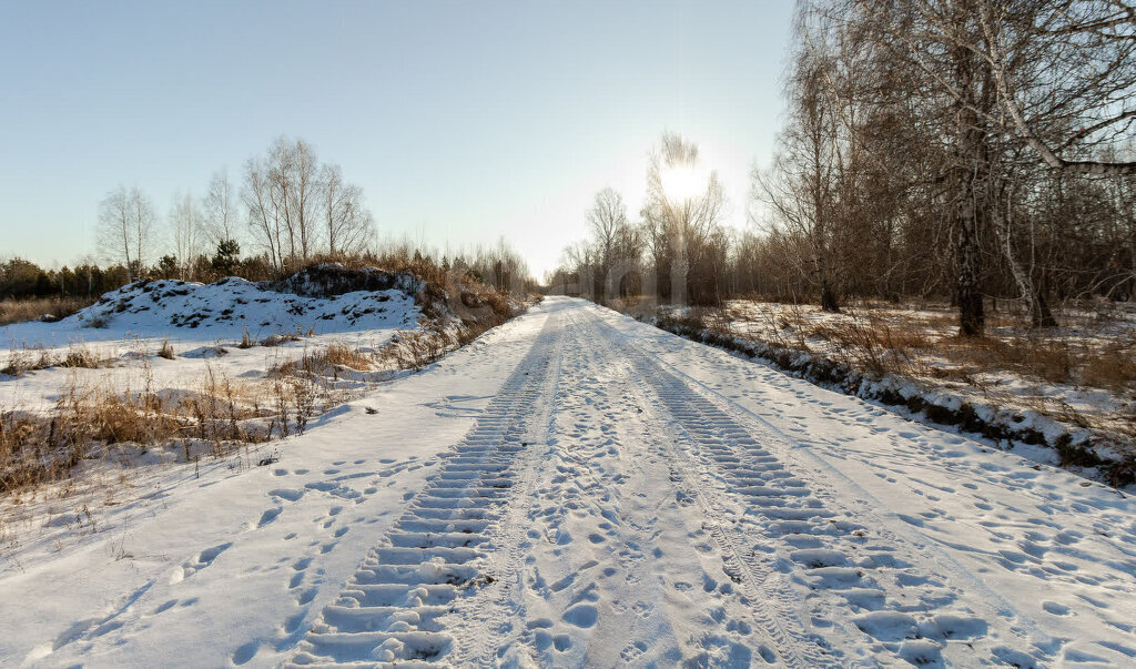 земля р-н Тюменский коттеджный посёлок Новокаменский фото 20