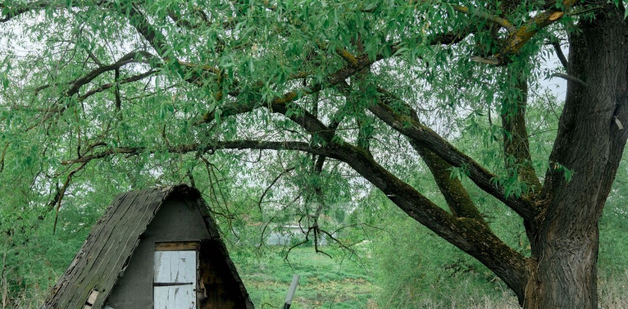 земля р-н Бабынинский с Кумовское Воротынск городское поселение фото 7