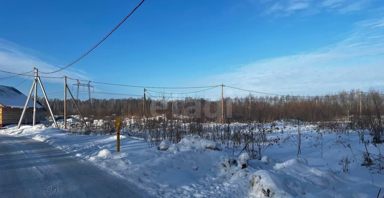 земля г Тюмень р-н Центральный общество Поляна, Пригожая ул, садовое фото 4