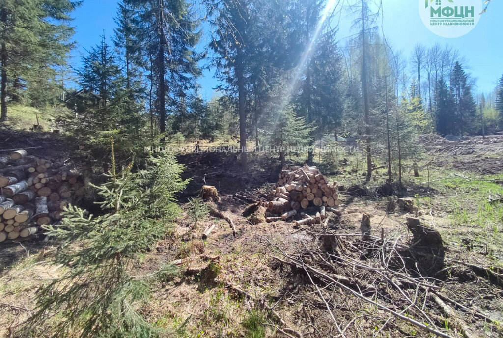 земля р-н Прионежский снт Нигишламба-2 Нововилговское сельское поселение фото 10