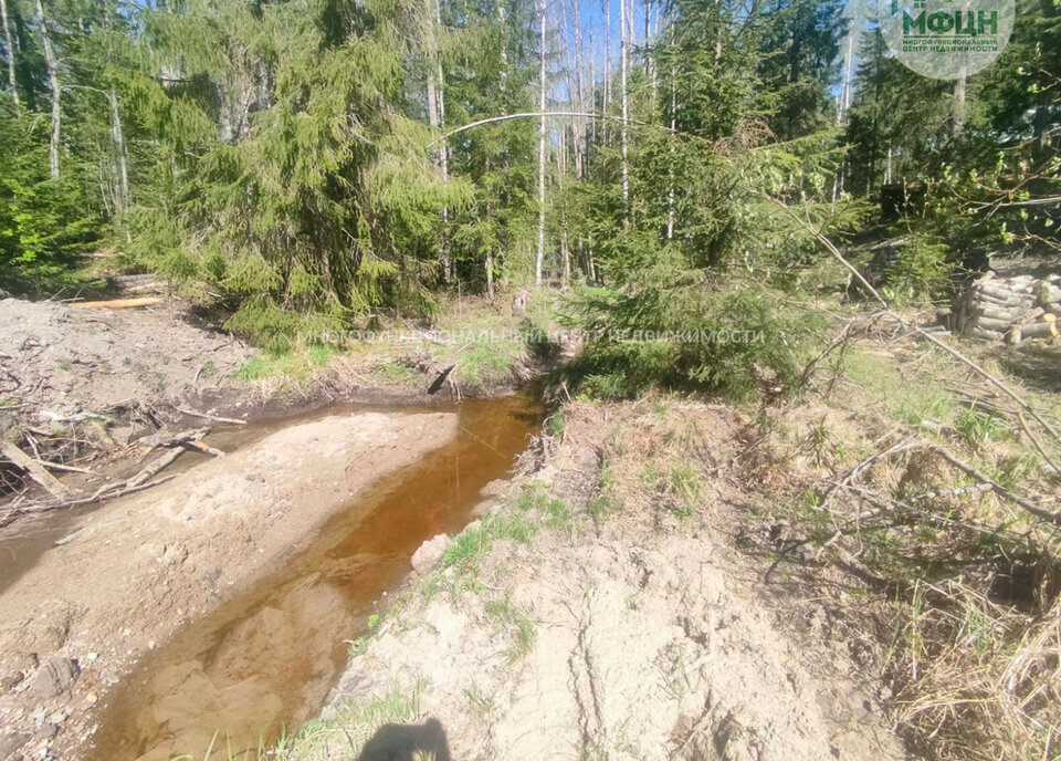 земля р-н Прионежский снт Нигишламба-2 Нововилговское сельское поселение фото 12