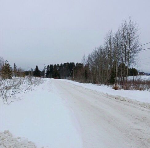 земля Аникина Гора кв-л, ул. Княжеская фото