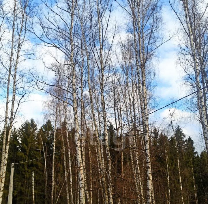 земля городской округ Чехов д Углешня фото 2