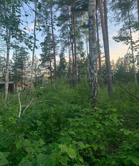 земля р-н Нижнетавдинский с Тюнево ул Уральская 16 фото 9