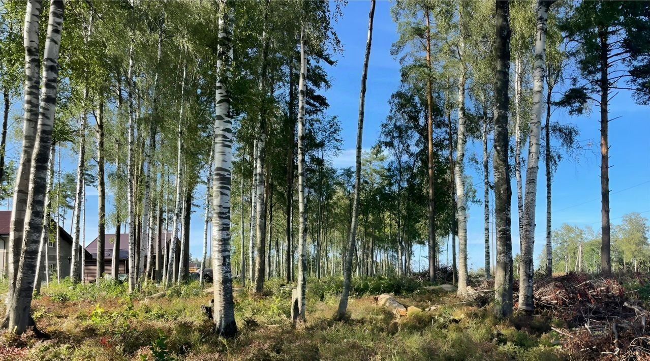 дом р-н Всеволожский п Новое Токсово Токсовское городское поселение, Терра Витэ кп фото 8