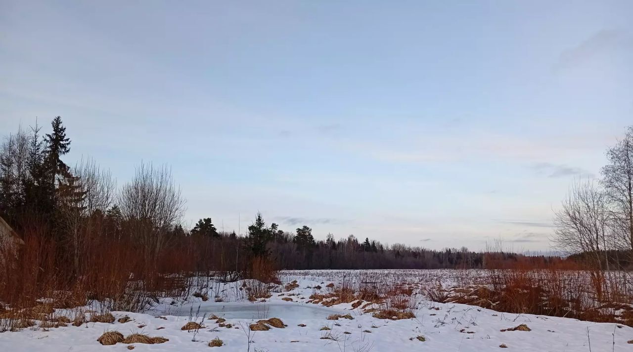 дом р-н Тосненский д Красный Латыш Тосненское городское поселение фото 22