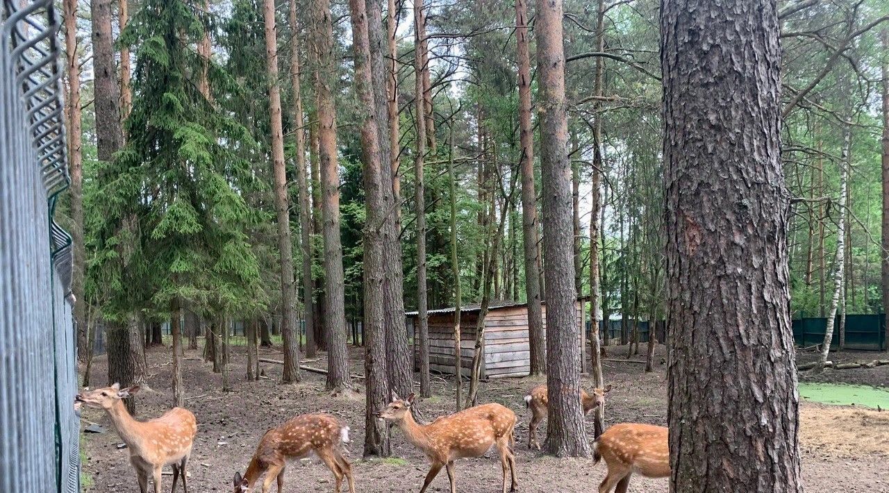 дом р-н Калязинский с/п Алферовское д Носово ул Носовская фото 25