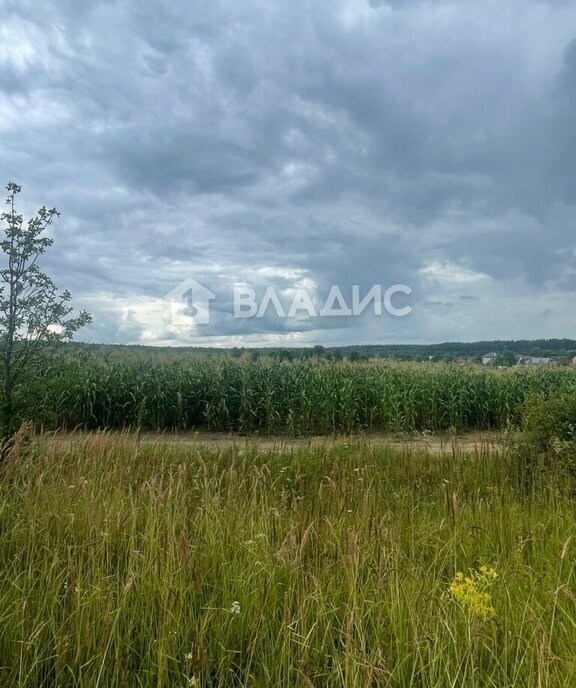 земля р-н Судогодский п Муромцево ул Школьная 31 фото 9