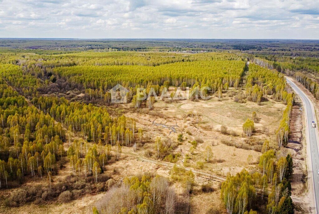 земля р-н Судогодский д Кощеево муниципальное образование Головинское фото 13