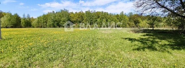 д Пекша ул Городок-Левитановская Пекшинское сельское поселение фото