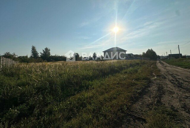 с Суворотское ул Северная муниципальное образование Боголюбовское фото