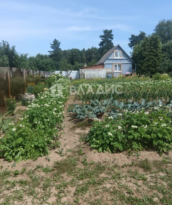 дом р-н Суздальский снт Политехник муниципальное образование Новоалександровское, 37 фото 1