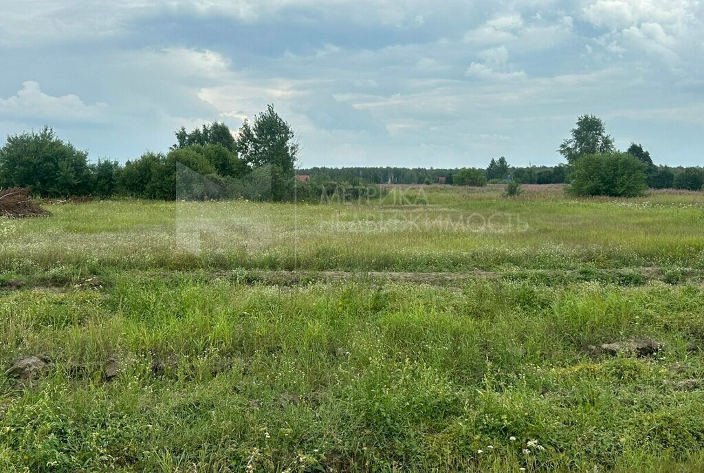 земля р-н Нижнетавдинский снт Здоровье-3 фото 2