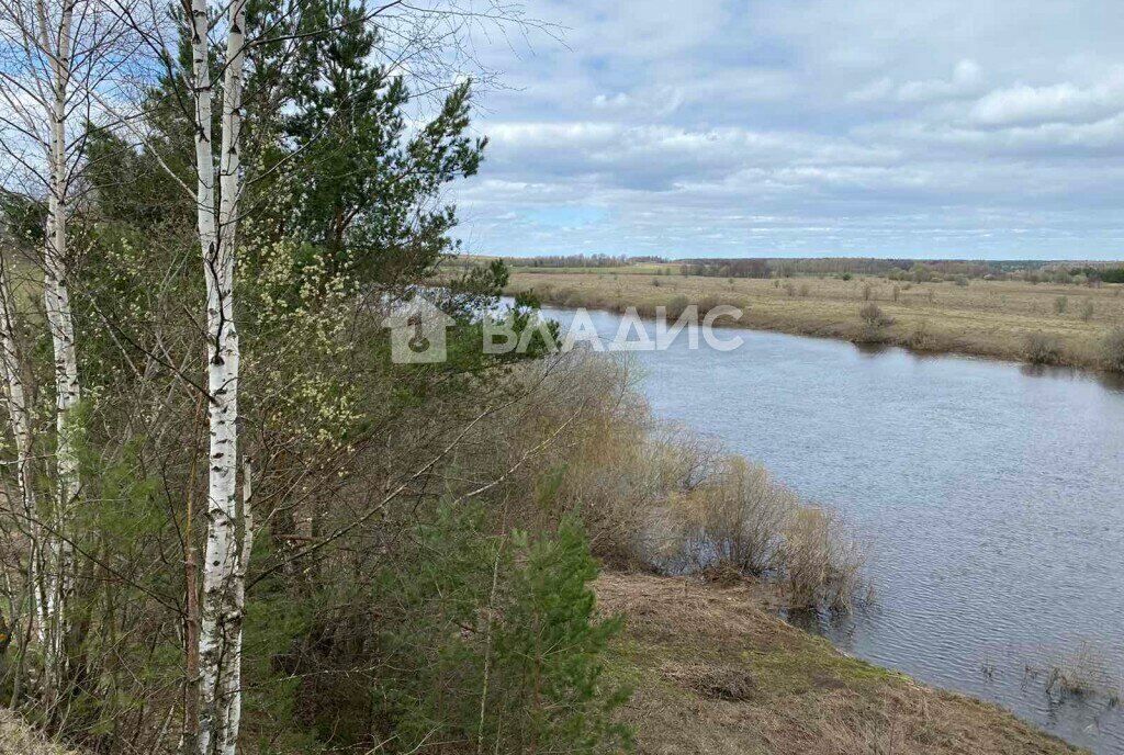 дом р-н Суздальский с Заполицы ул Новая 9г муниципальное образование Павловское фото 29