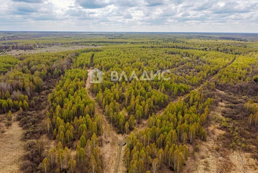 земля р-н Судогодский д Кощеево муниципальное образование Головинское фото 7