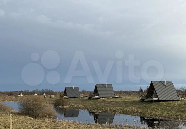 ул Пролетарская Светлогорск, Зеленоградский муниципальный округ фото