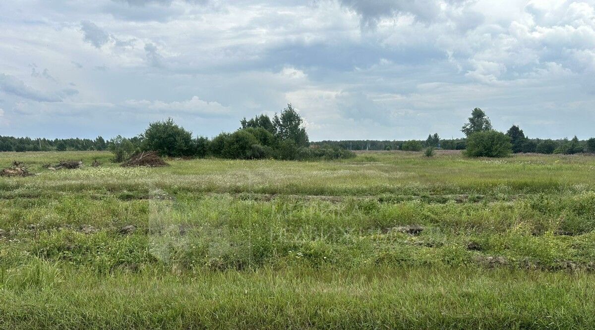 земля р-н Нижнетавдинский снт Здоровье-3 фото 3