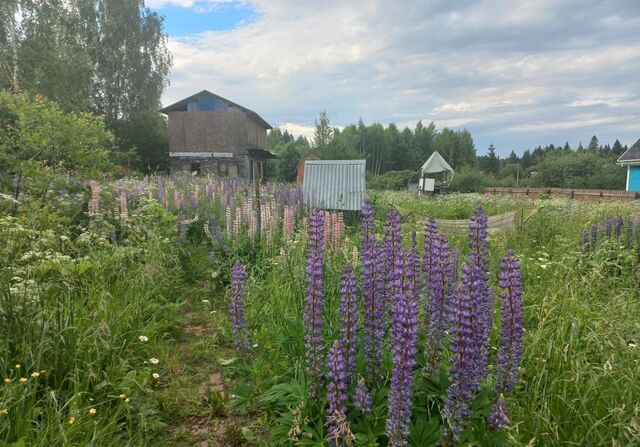 городской округ Волоколамский 78 км, СНТ Столичный Ветеран, 45, Сычево, Новорижское шоссе фото