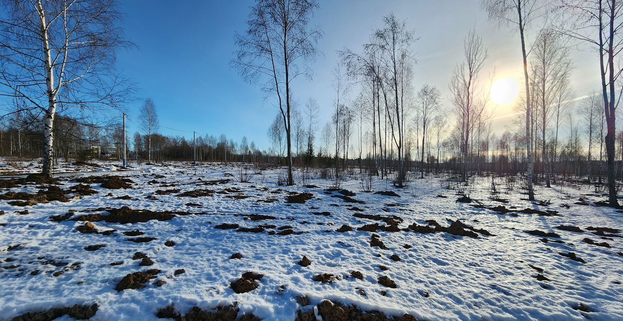 земля городской округ Клин д Мисирёво 60 км, Клин, Ленинградское шоссе фото 1