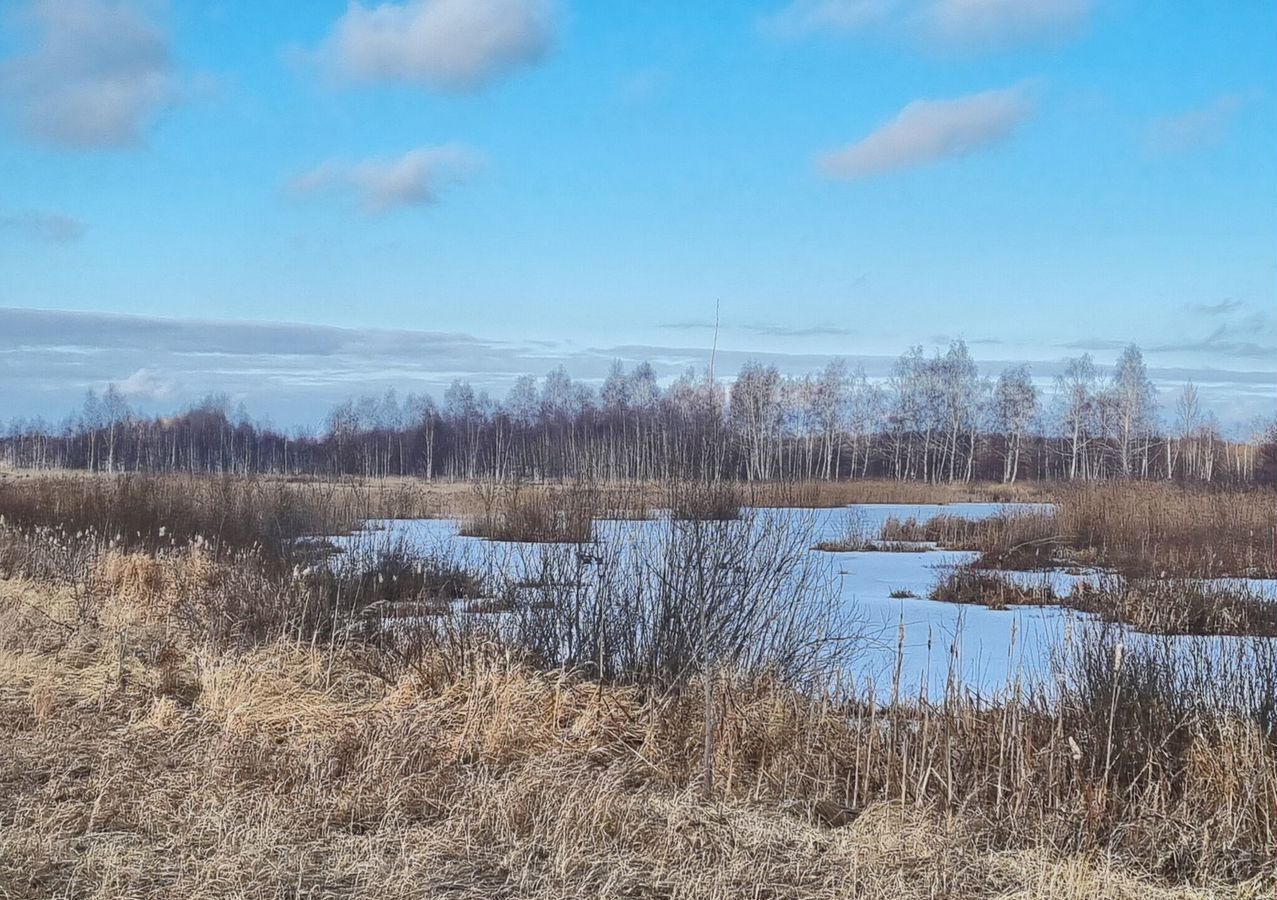 земля городской округ Егорьевск 96 км, Егорьевское шоссе фото 10