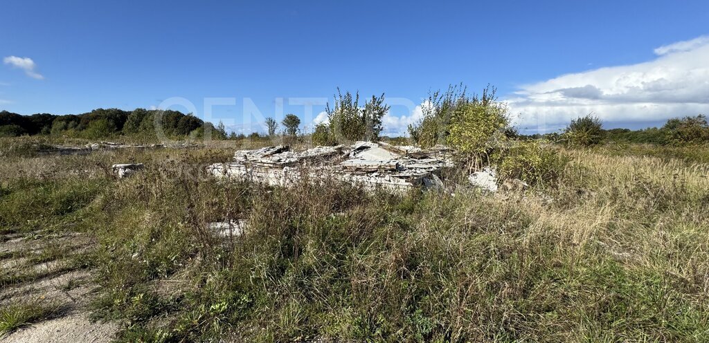 земля р-н Багратионовский п Богдановка Мамоновский городской округ фото 4