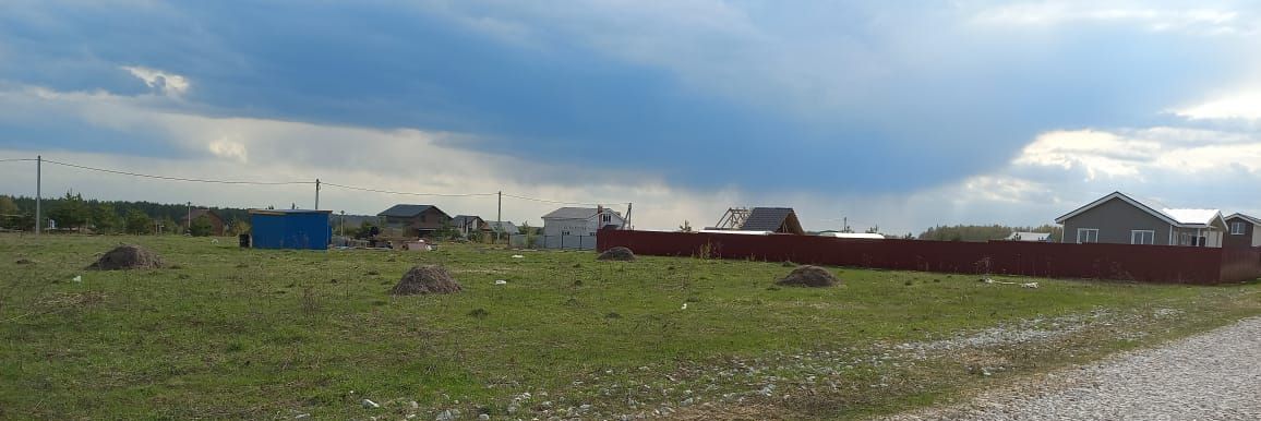 земля р-н Богородский д Шумилово ул Радужная фото 3