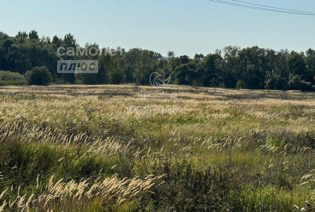 городской округ Ступино с Мещерино фото