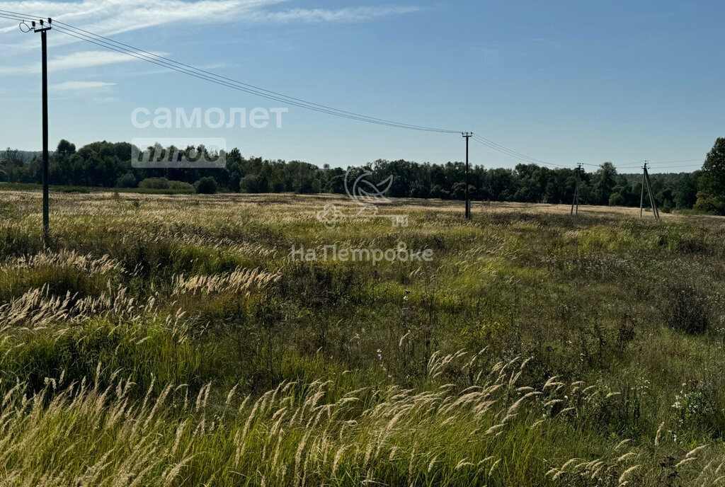 офис городской округ Ступино с Мещерино фото 2