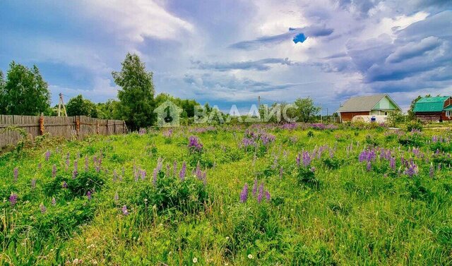 муниципальное образование Пенкинское, деревня Бородино фото