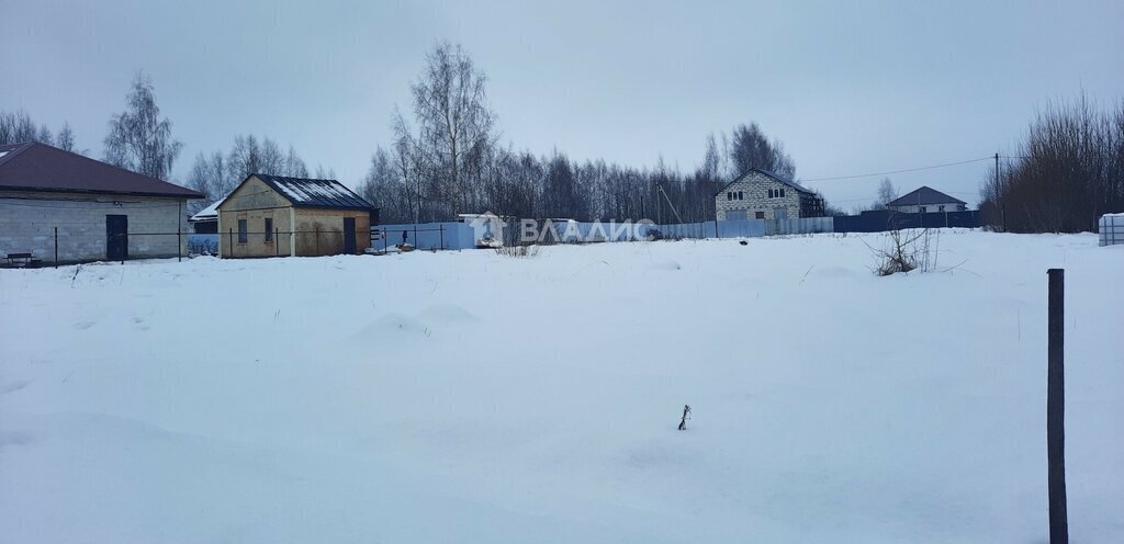 земля р-н Суздальский снт Сновицы-4 муниципальное образование Новоалександровское фото 2