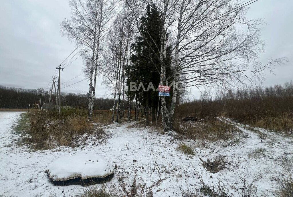 земля р-н Суздальский снт Александрия муниципальное образование Новоалександровское фото 4