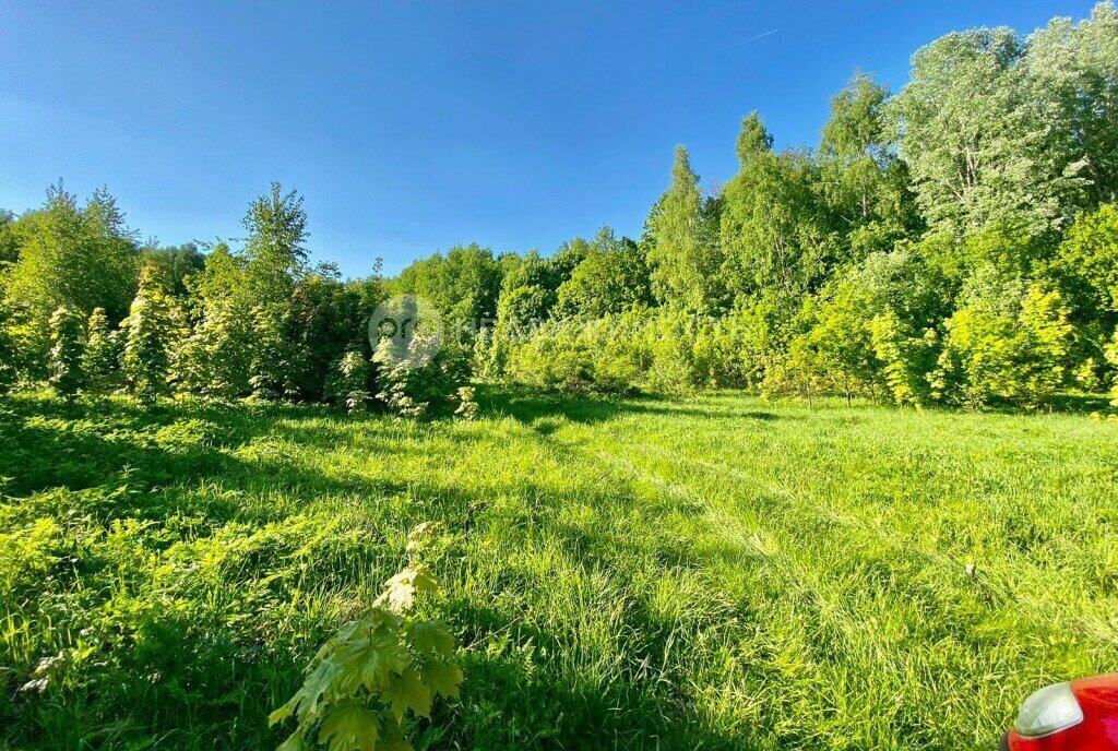 земля р-н Спасский п Сельцо Гавриловское ул Березовая 17 фото 4