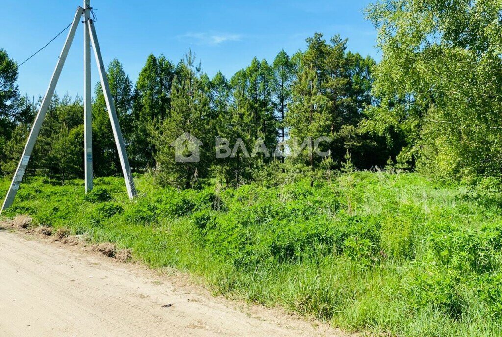 земля муниципальное образование Второвское, деревня Близнино фото 6