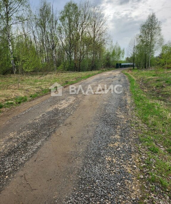 земля р-н Петушинский д Старые Петушки муниципальное образование Петушинское фото 5