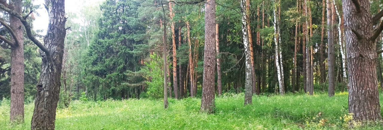 земля городской округ Чехов д Пронино ул Центральная фото 9