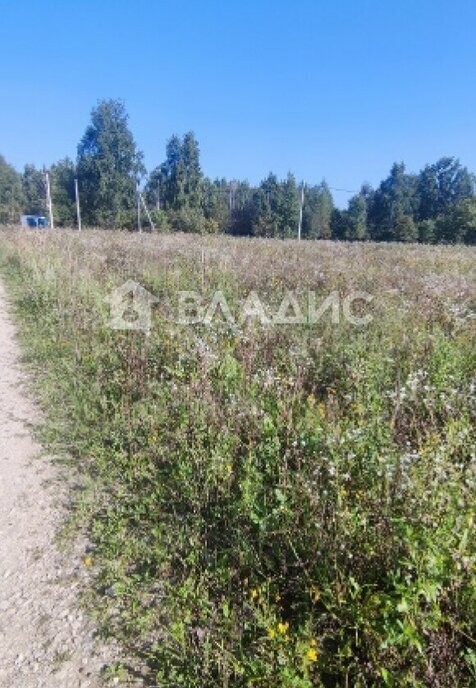 земля городской округ Серпухов д Скрылья ул Лесная фото 2