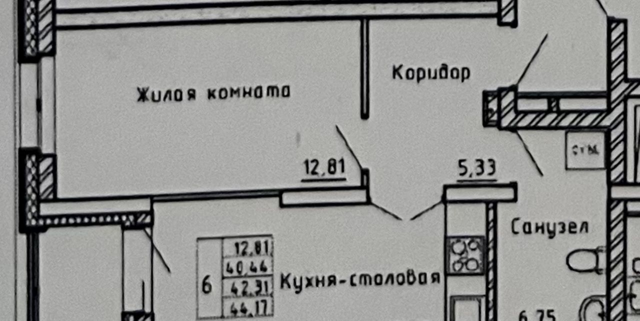 квартира г Екатеринбург ул Комсомольская 67 Площадь 1905 года фото 14