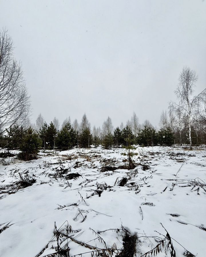 земля р-н Богородский д Килелей Буревестник фото 2