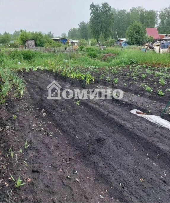 земля р-н Тюменский с Горьковка ул Лесная фото 7