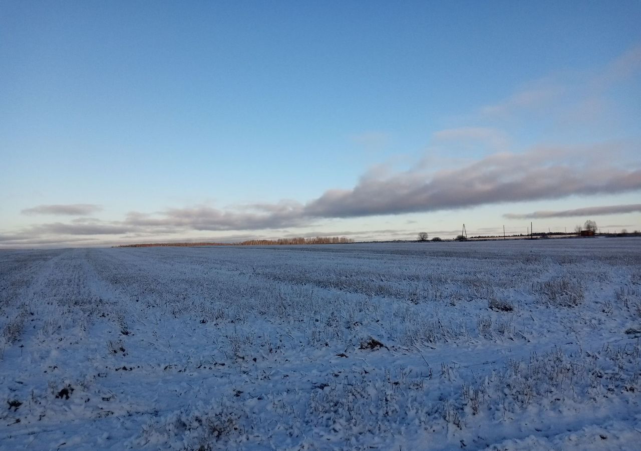 земля р-н Палехский с Подолино Раменское сельское поселение, Палех фото 2