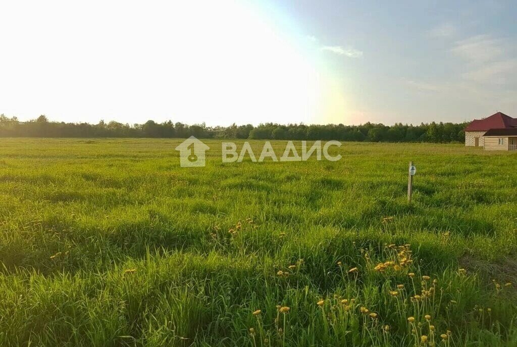 земля р-н Судогодский д Бережки муниципальное образование Муромцевское фото 2