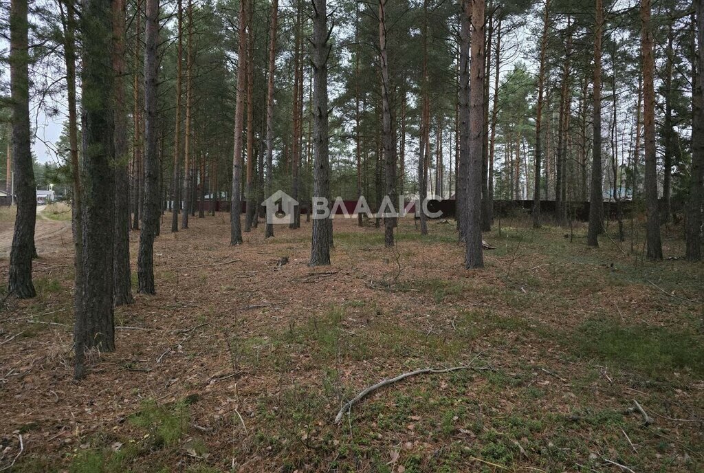 земля р-н Судогодский п Улыбышево муниципальное образование Вяткинское фото 2