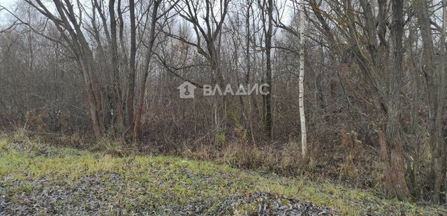 п Муромцево Муромцевское сельское поселение фото