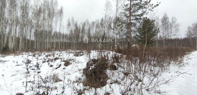 р-н Октябрьский ул 1-я Сорокинская 6 фото