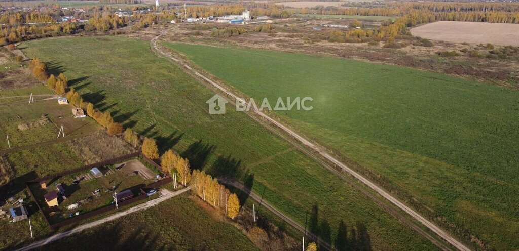 земля р-н Собинский с Бабаево ул Спасская фото 2