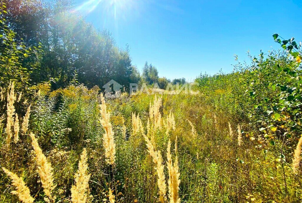 земля г Владимир д Вилки фото 6