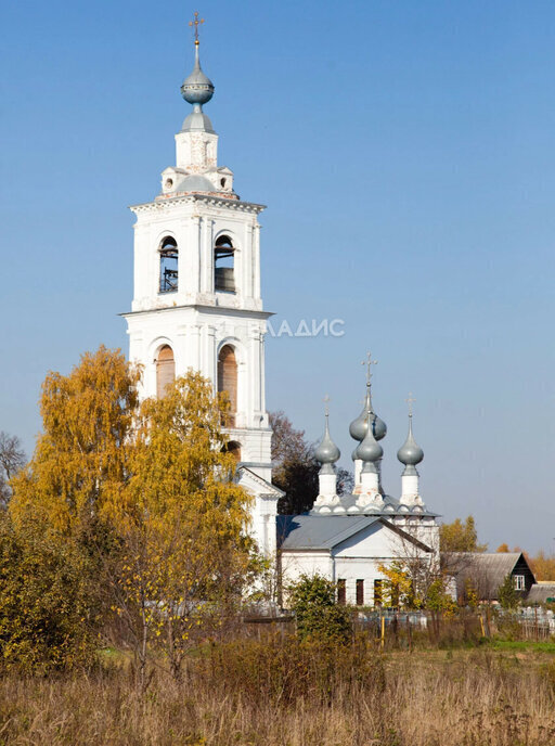 земля р-н Собинский с Бабаево ул Спасская фото 8