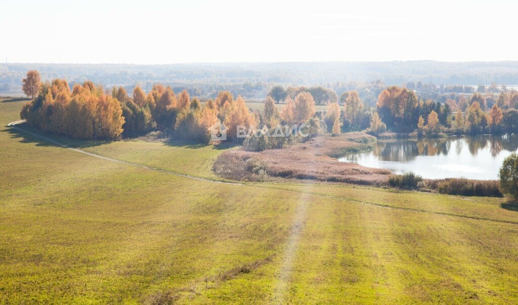 земля р-н Собинский с Бабаево ул Спасская фото 12